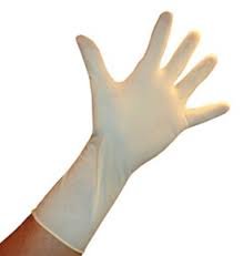 Powder Free Latex Examination Gloves XL – Storbels Supply